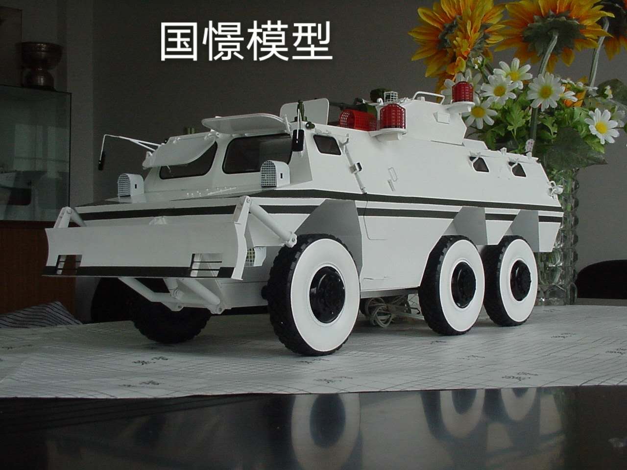 肃南裕军事模型